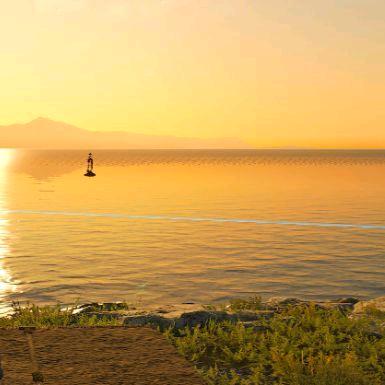 建立自我，追求无我