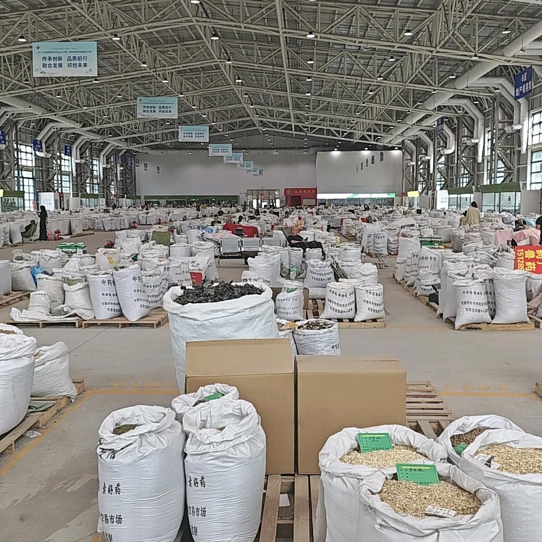 欣欣向荣（青竹）