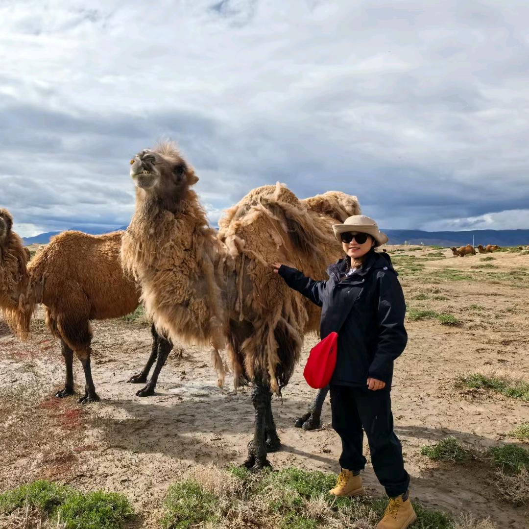 山顶在逃氧气瓶