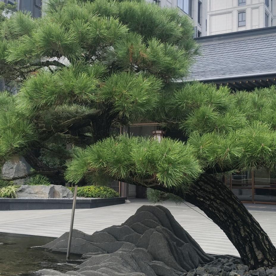 靠谁不如靠自己