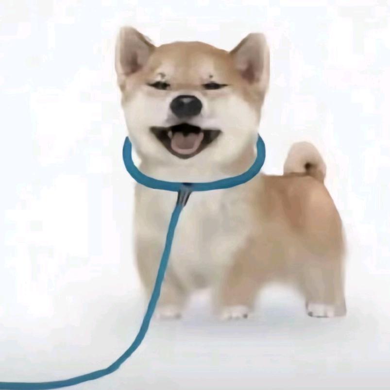 小杨