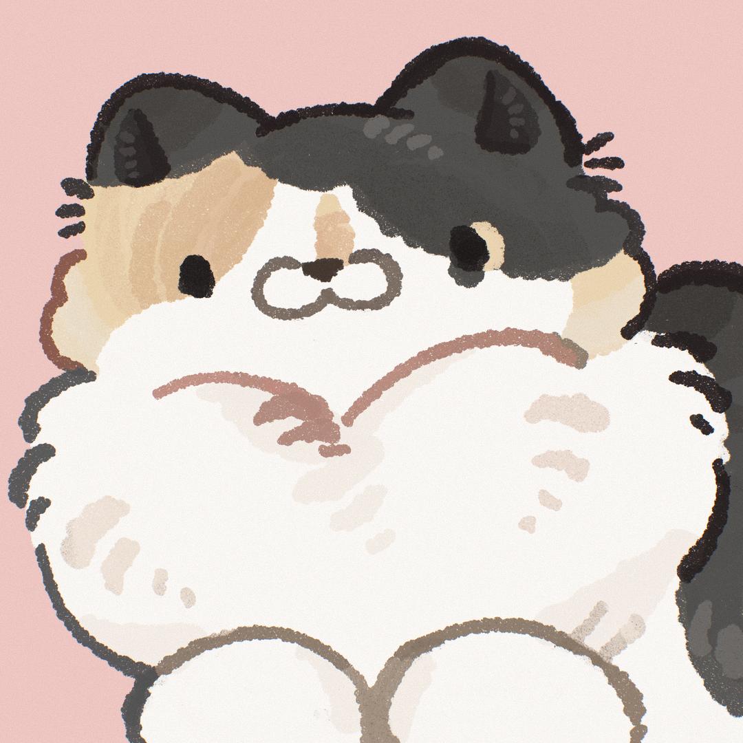 猫猫蛇教徒