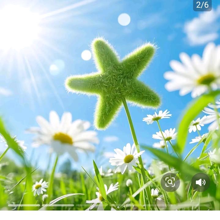 🌻᭄丽琴💕