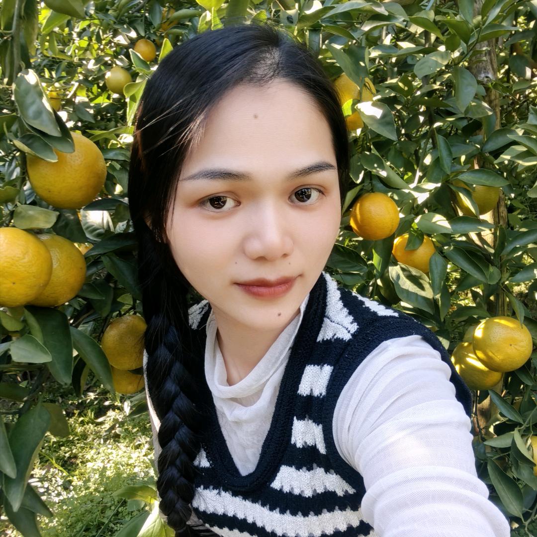 一芯皇帝柑采摘场