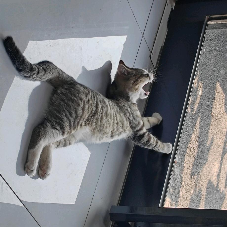 丨