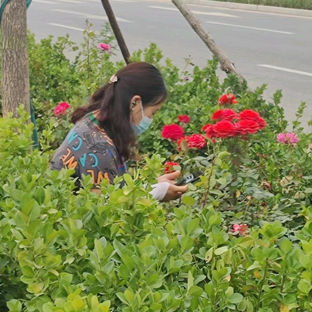 傻瓜！