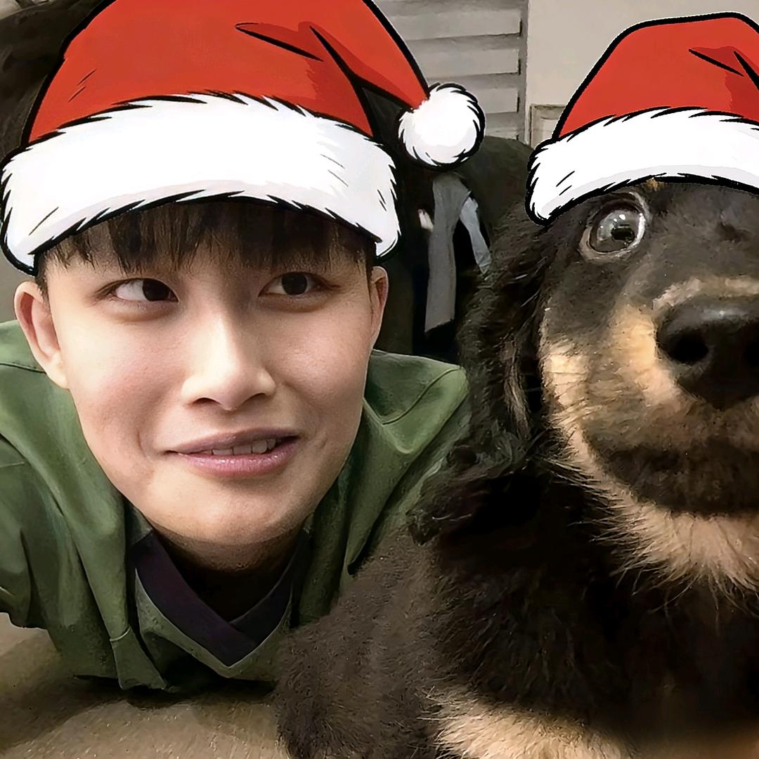 地球卖le养小狗