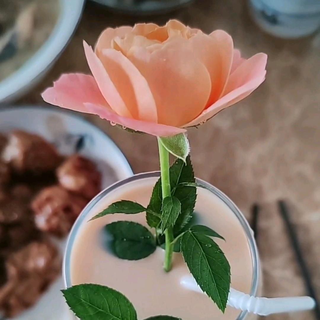 阳光