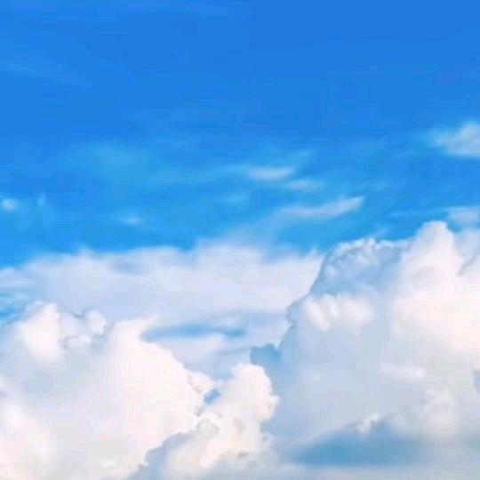 腾冲赵仁才花卉创意屋