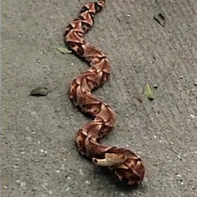 不负遇见  不谈亏欠