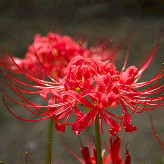 知人知面不知心