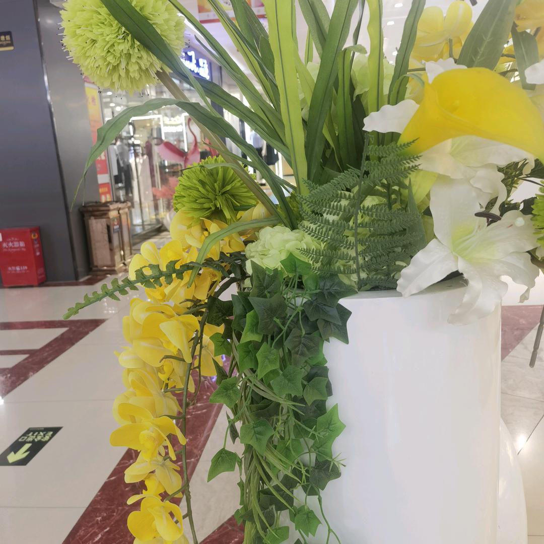 我是一根小草