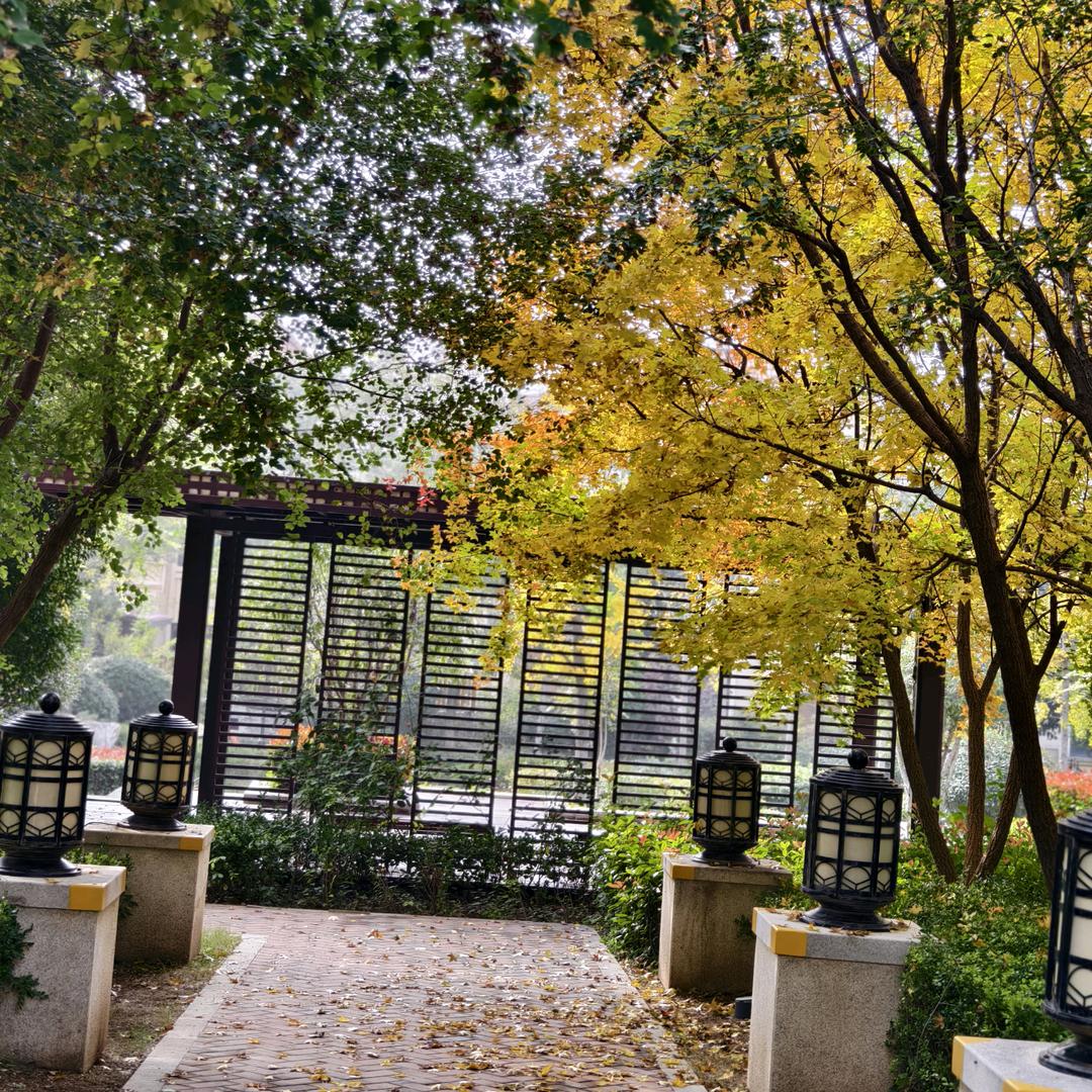 𓆡𓆝𓆟𓆜𓆞游啊游