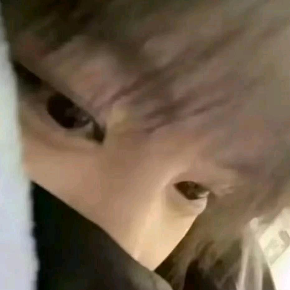 鵆