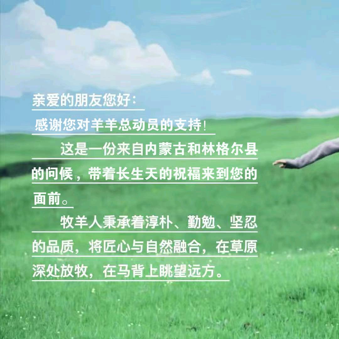 羊羊总动员创始人-李小文