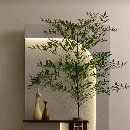 谷乐乐，，靠大家养活的狗