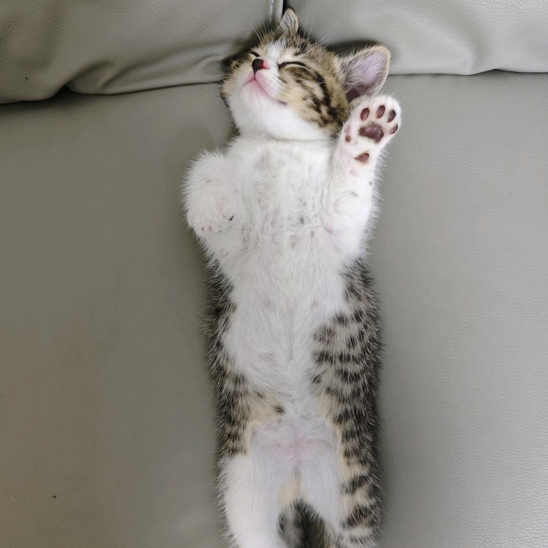 O,H