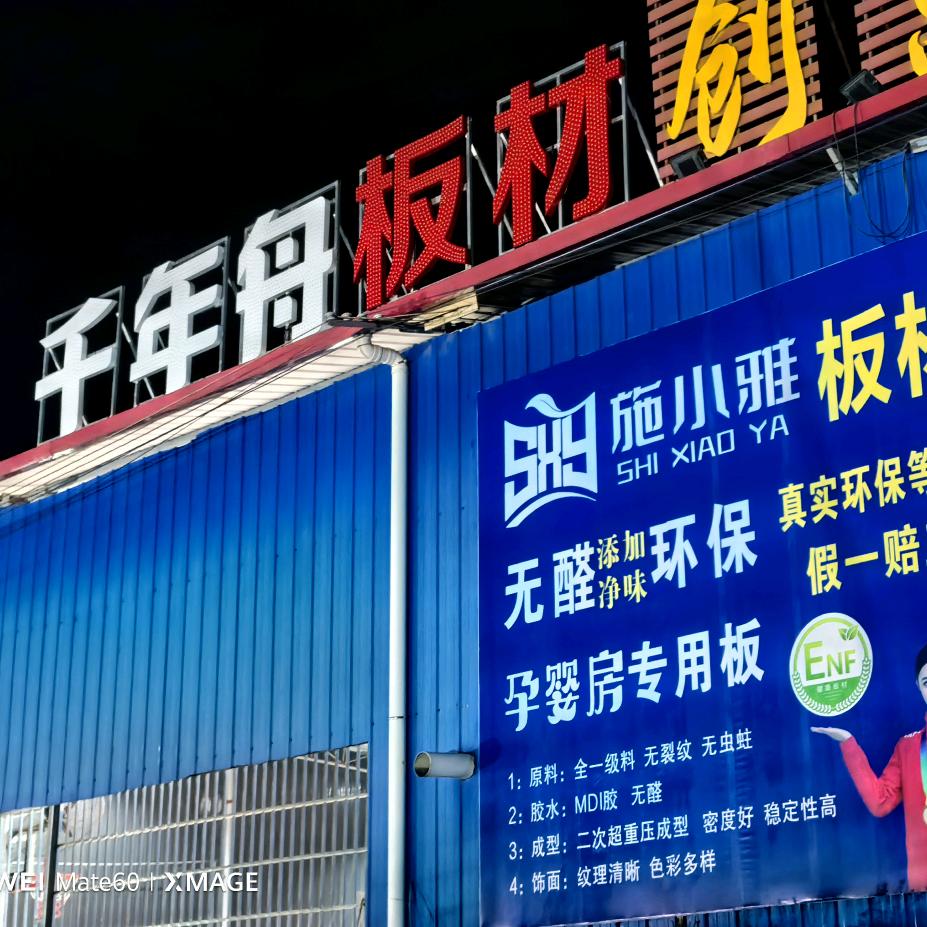 施小雅板材全屋定制