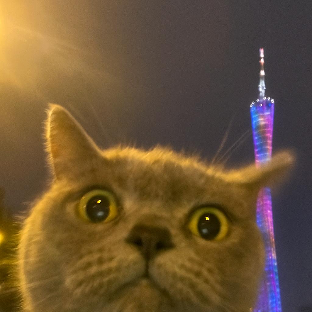 猫猫不吃鱼，爱吃雪饼