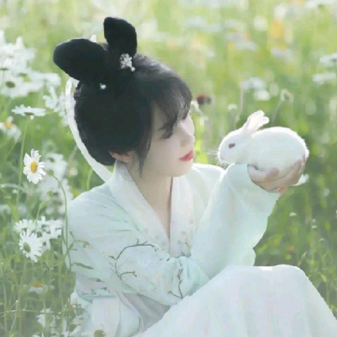 兔小白自媒体