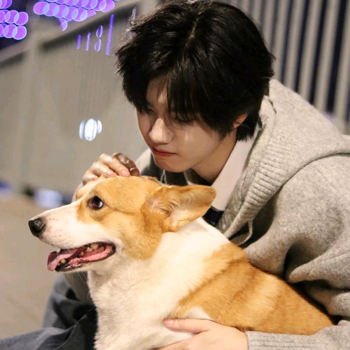 番茄炒鸡蛋面🍊