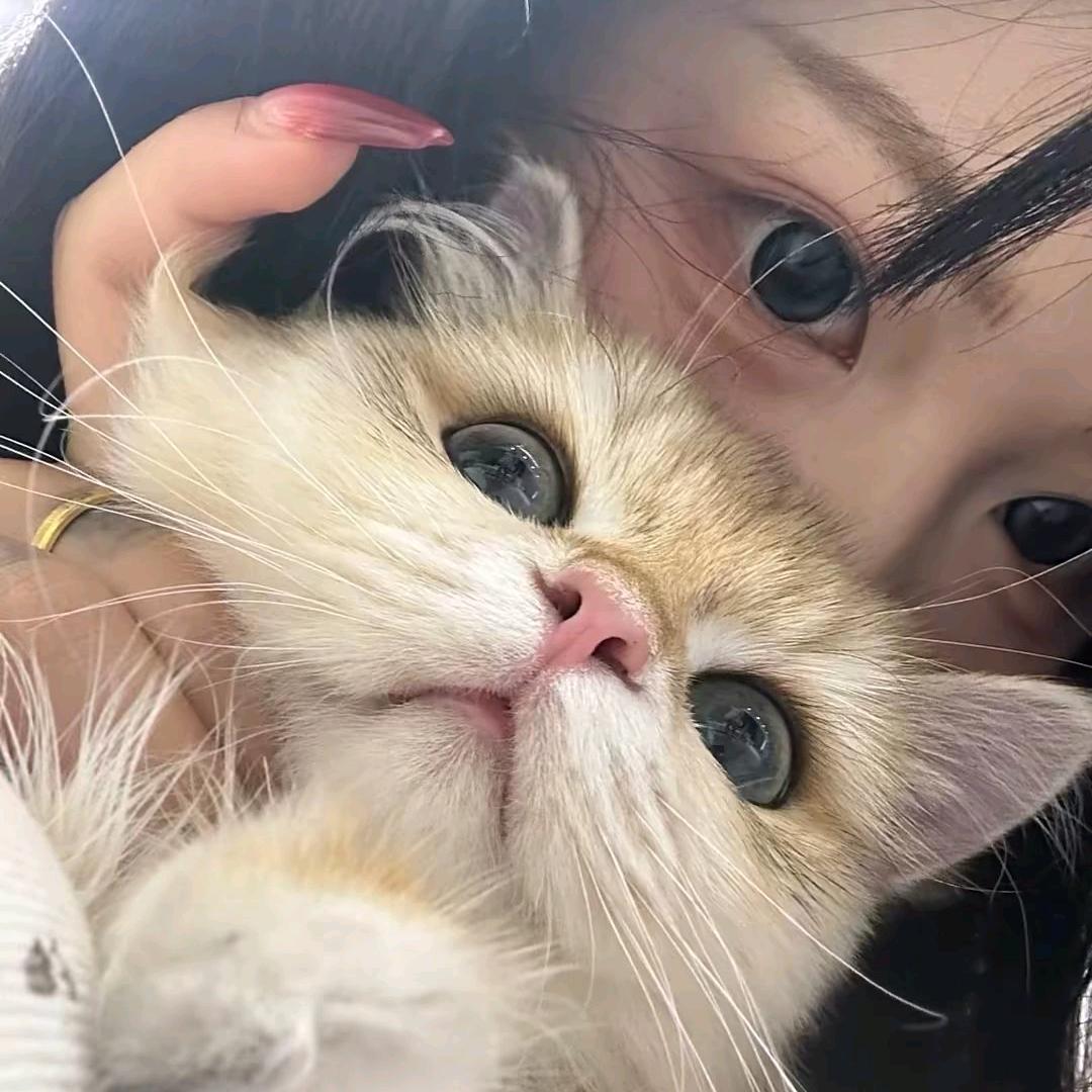 涵涵🐾