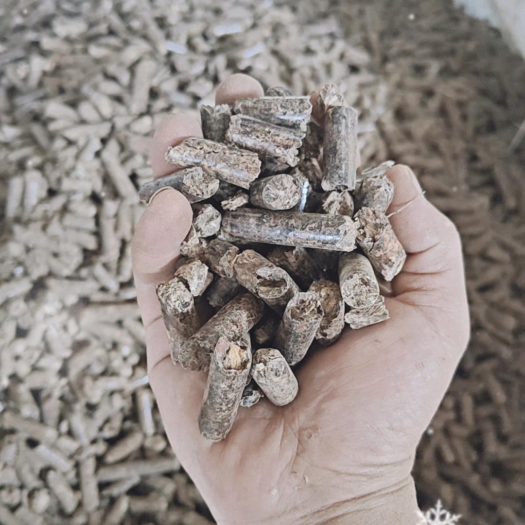 新平宇隆生物科技有限公司
