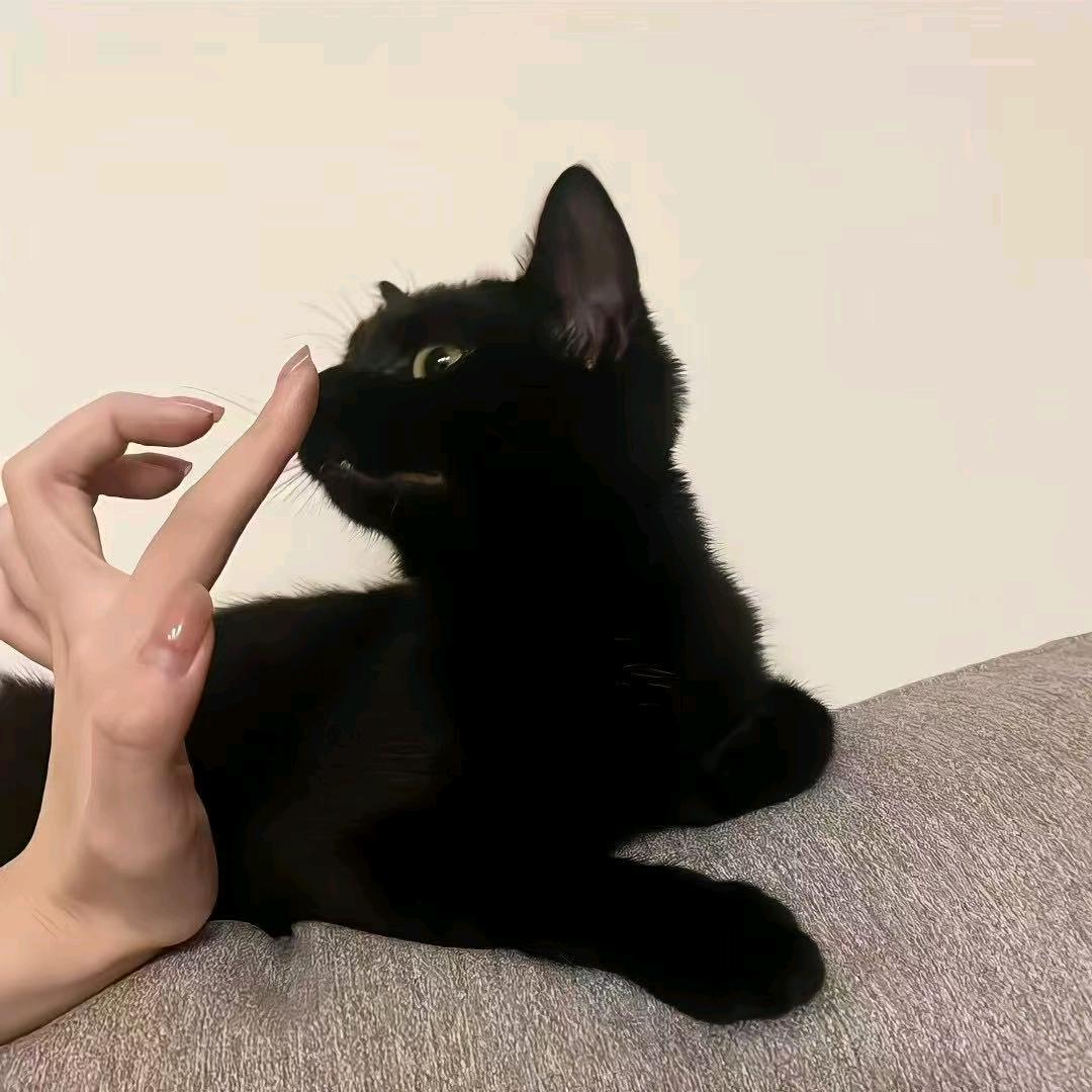 早起虫儿被鸟吃.