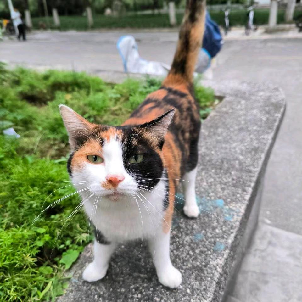 @初六