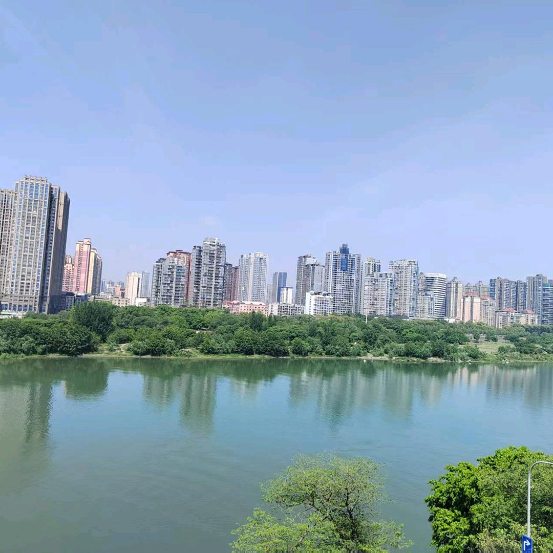 遗失的美好
