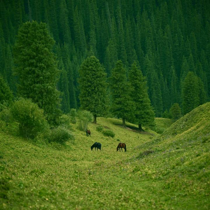 林正混凝土生产质量管控系统