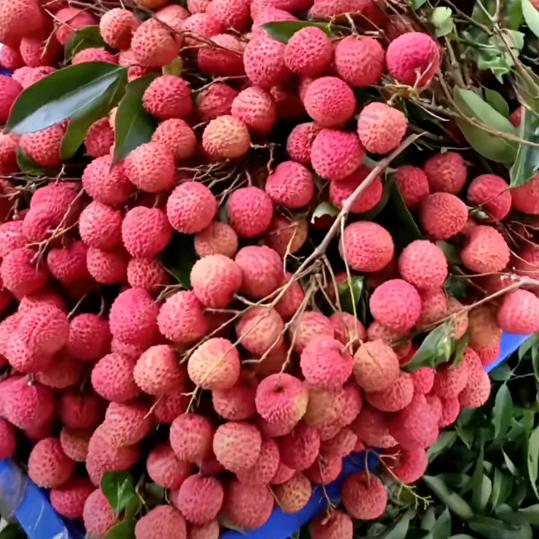 爱别人要适可而止，爱自己要尽心尽力