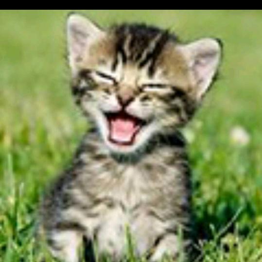 🌹天涯哥哥🌸回来跑骚了