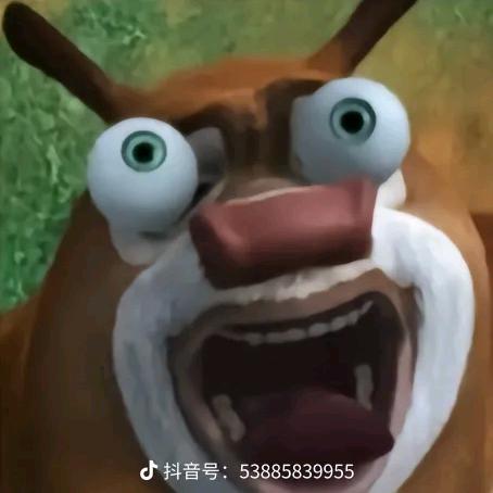虫大