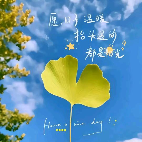 仰望リ月空ベ