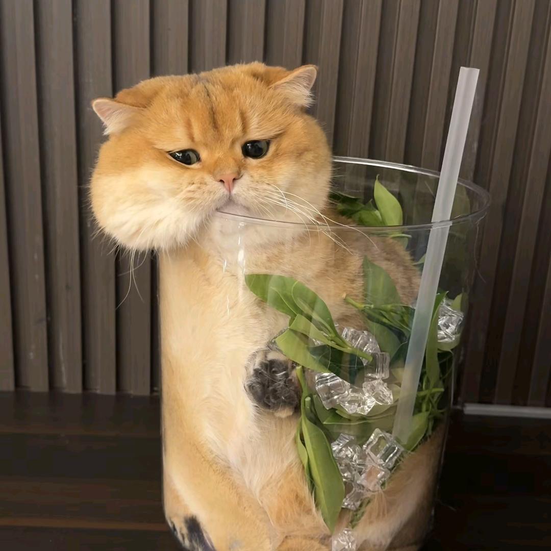 换个好心情