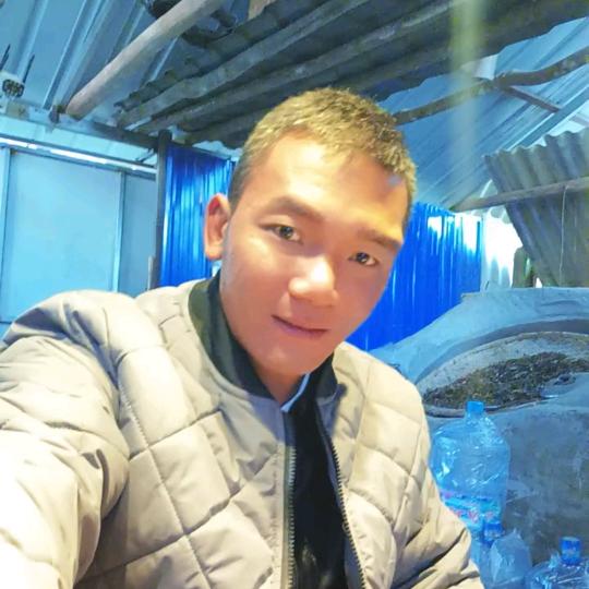 四大  博玛号茶叶初制所
