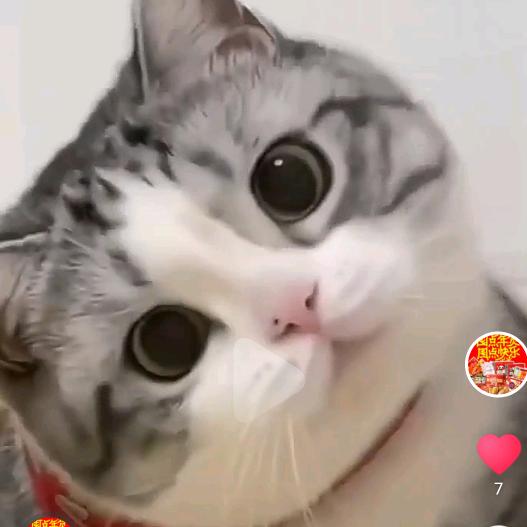 小白好物