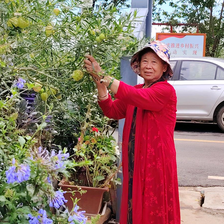 用户费文华