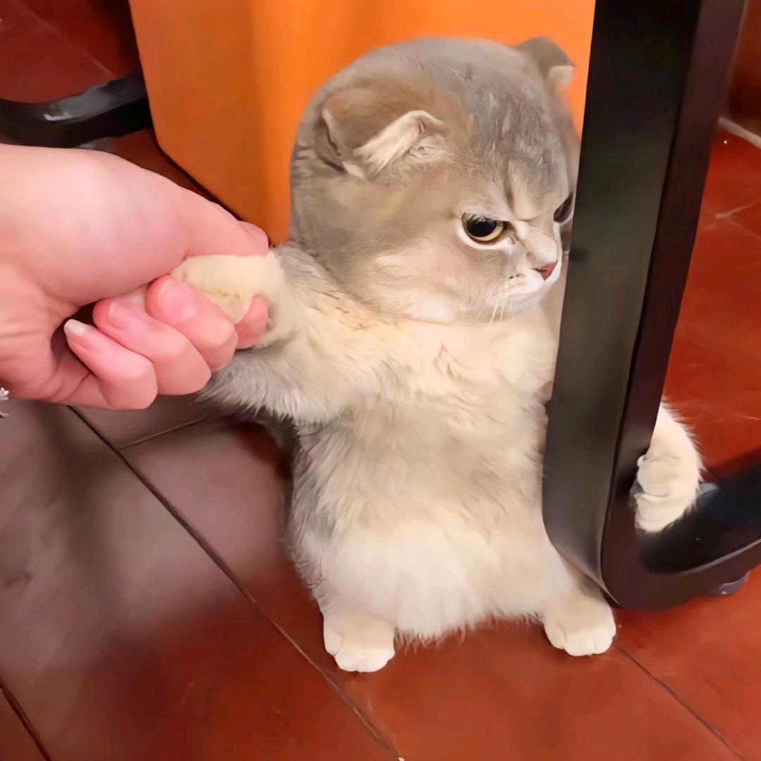 一秒开始哥