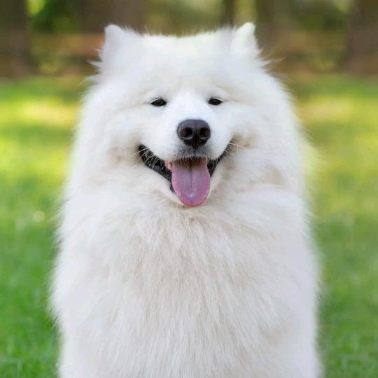 我的人生我做主