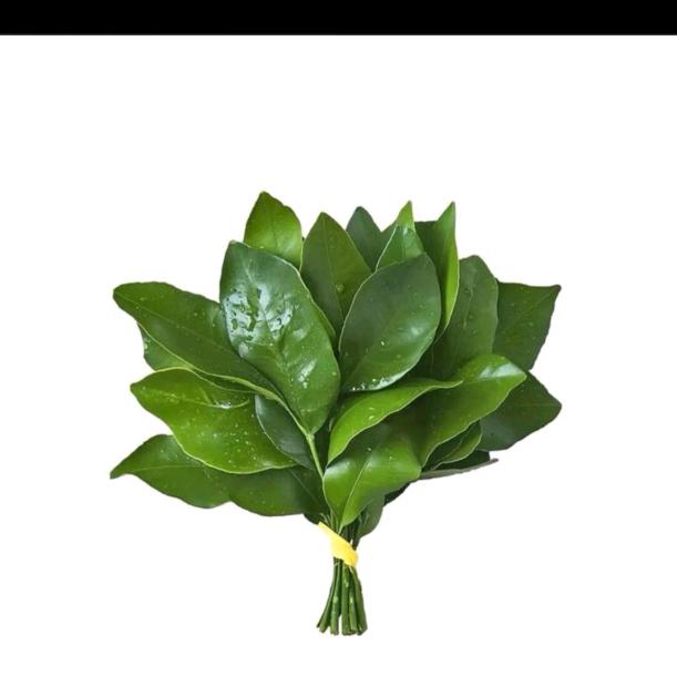 思念