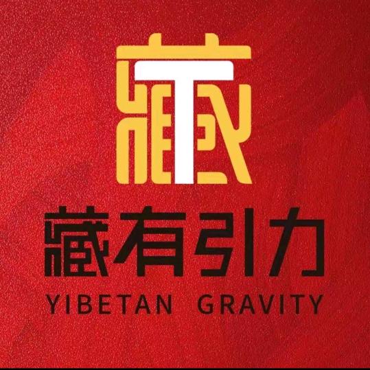 藏有引力（园博园店）