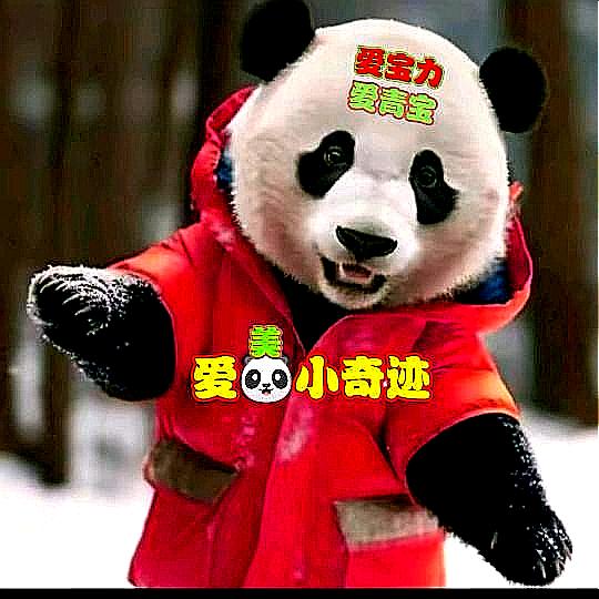 美美❤️爱🐼