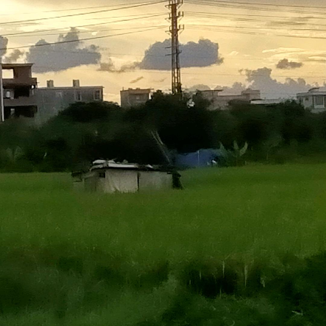 秋天的风带不走夏天的烦恼