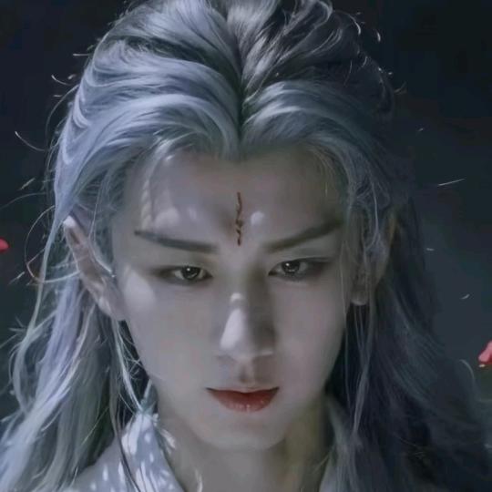 小琪琪