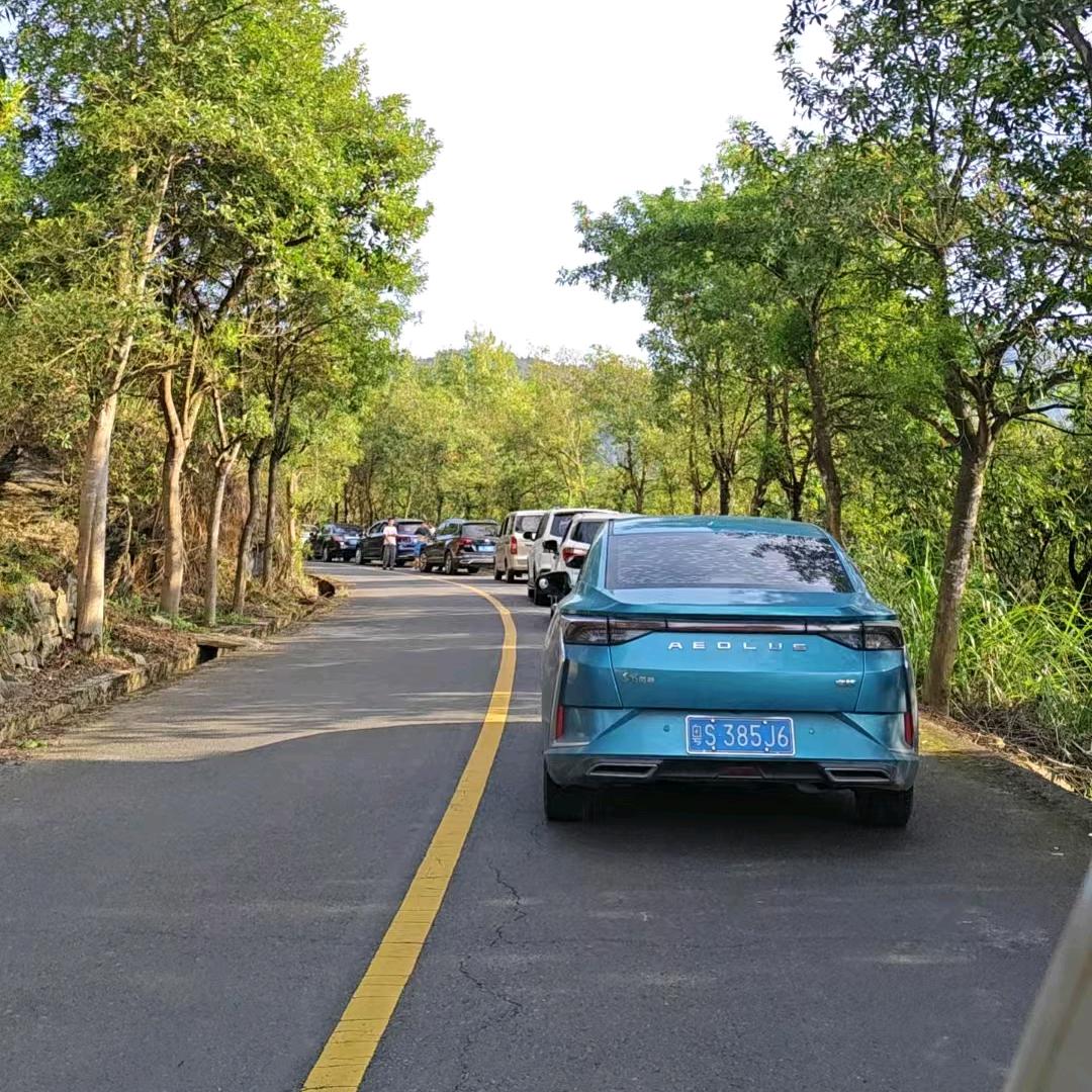 种植农业户，莓茶，绿茶，黑老虎，八月瓜