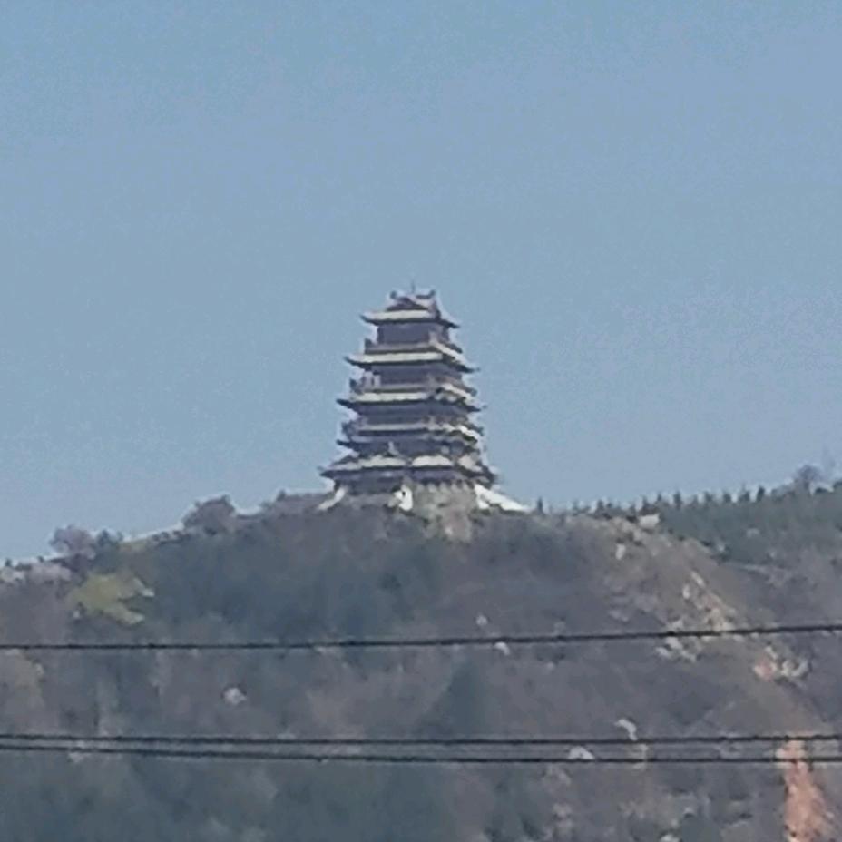 洞拨鼠
