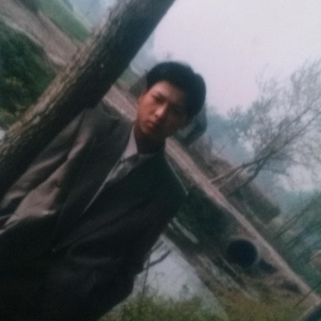 落单的鱼