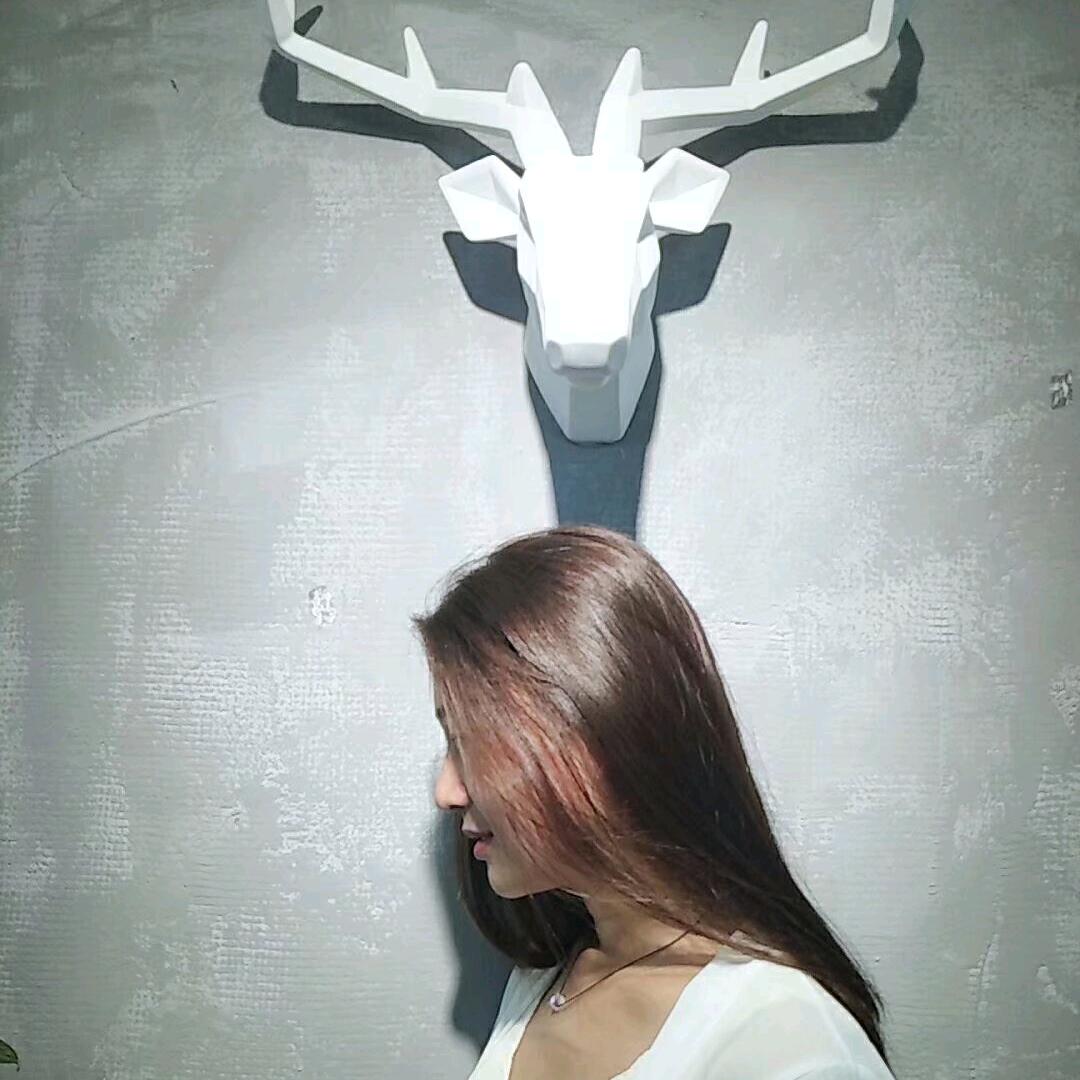 圈圈老师